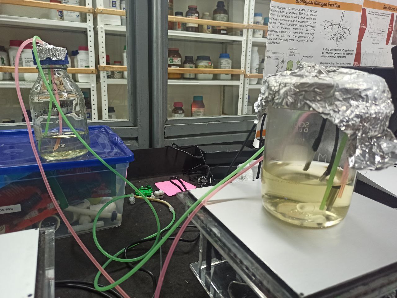 Test bioreactor 1 in 50 % weight max.